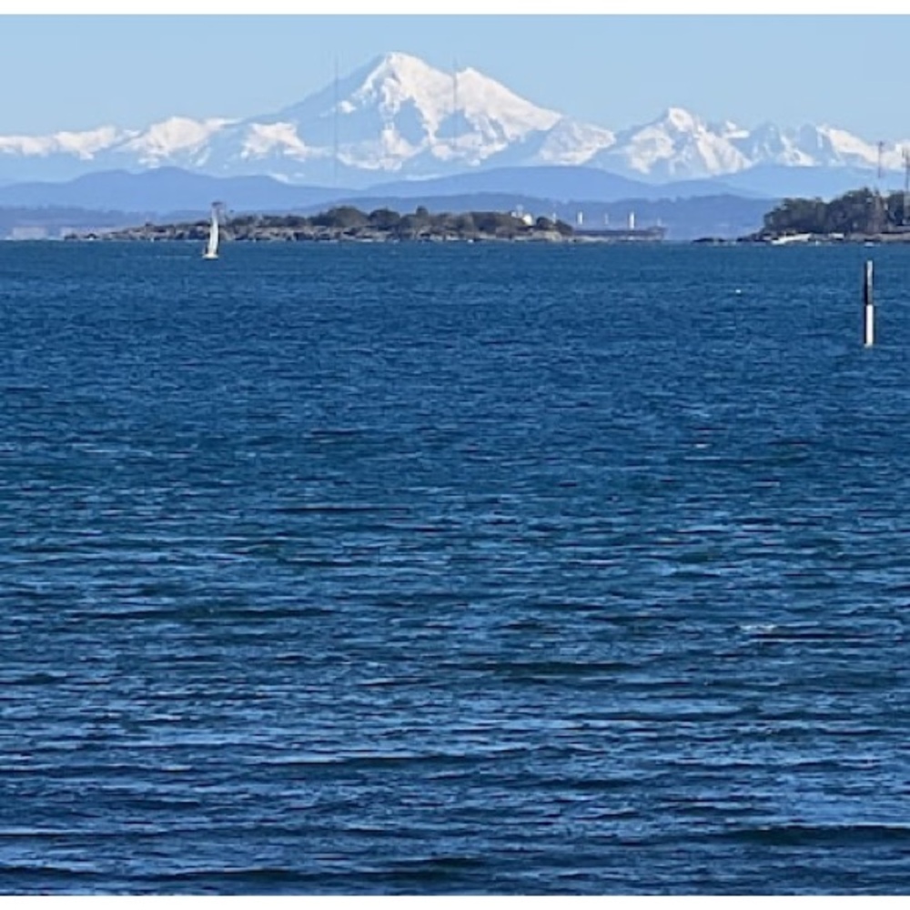 Meet your Posher, Maureen